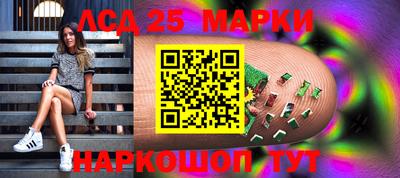 мяу мяу мука Нальчик