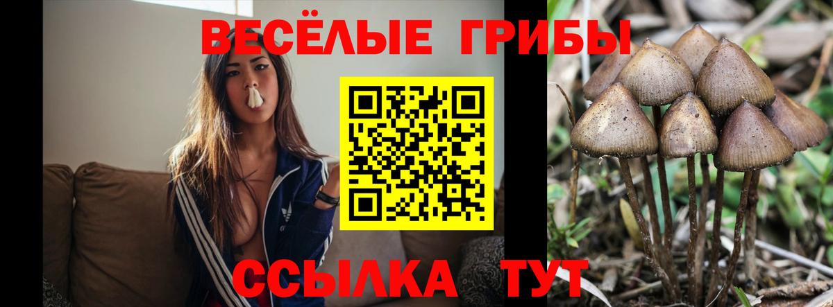 Псилоцибиновые грибы MAGIC MUSHROOMS Углич