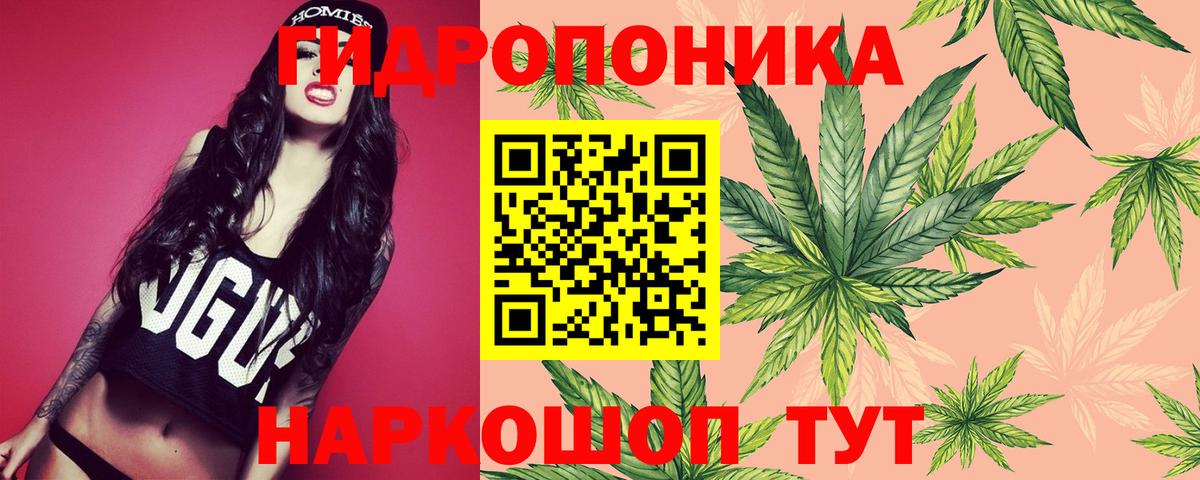 Канабис сатива  МАРИХУАНА план  Бошки Шишки Ganja  Бошки марихуана MAZAR  Углич  Вход с VPN 